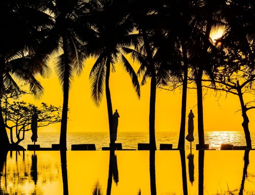 Is Fall the Secret Season for Miami Cruisers? Weather, Crowds, and Parking Tips