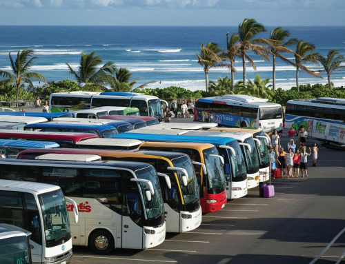 Where Do I Meet the Shuttle After My Cruise Returns to PortMiami?